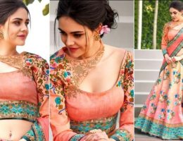 blouse designs for bridal lehenga-Trends in 2019