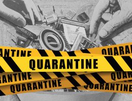 Activities during quarantine